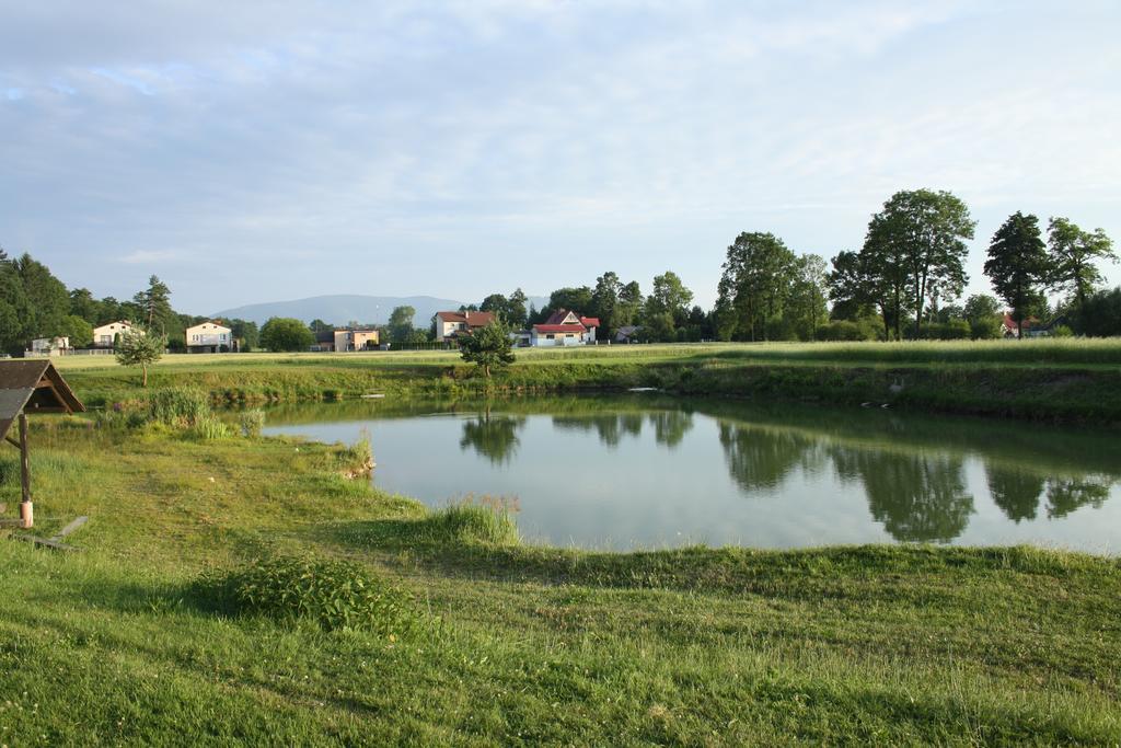 Baldi Benelux Skoczów